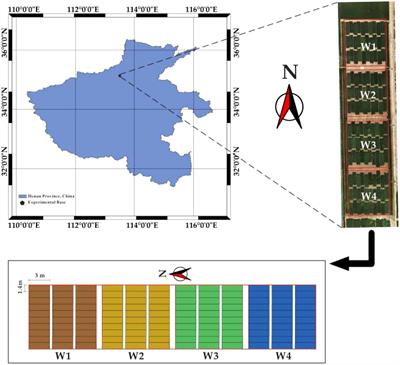 An integrated feature selection approach to high water stress yield prediction